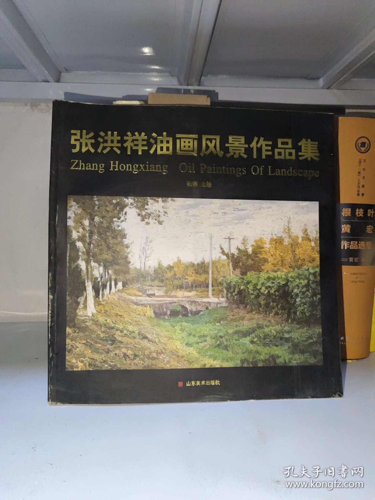 张洪祥油画风景作品集