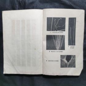 高级中学课本：物理学（第三册）1958