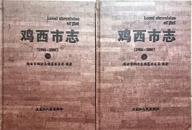 鸡西市志