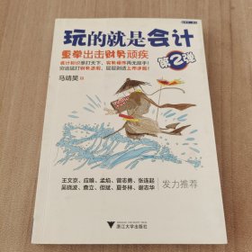 玩的就是会计（第2弹）：重拳出击财务顽疾