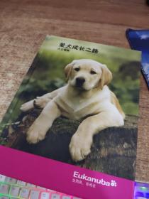 爱犬成长之路