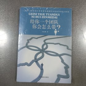 给你一个团队，你会怎么带