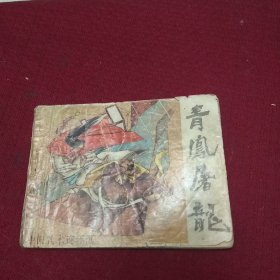 25509。。。连环画。。中国武术连环画。。青风屠龙