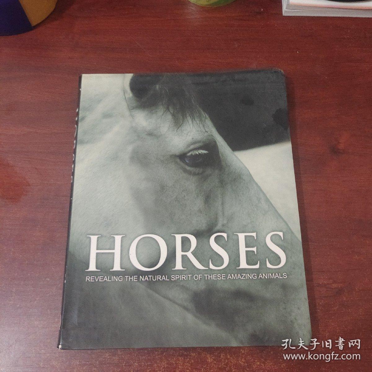 HORSES: REVEALING THE NATURAL SPIRIT OF THESE AMAZING ANIMALS (马 揭示这些神奇动物的自然精神)