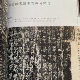 《中国书法》杂志：中国国家图书馆藏碑帖选（含张通妻陶贵墓志等）、天发神谶碑 （部分），中国国家图书馆藏北朝石刻拓本选、关于篆隶古法、拓片的传拓保护收藏与研究、中国古代石刻的新发现与中国书法、巩义大力山石窟北齐造像题记三题、北碑师法论（含马一浮忆秦娥词稿于右任章太炎祭黎大总统文稿跋等）等等