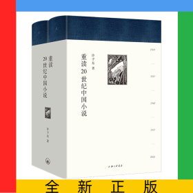 重读20世纪中国小说(共2册)(精)