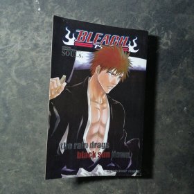 Official Character Book: Bleach SOULs