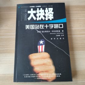 大抉择美国站在十字路口