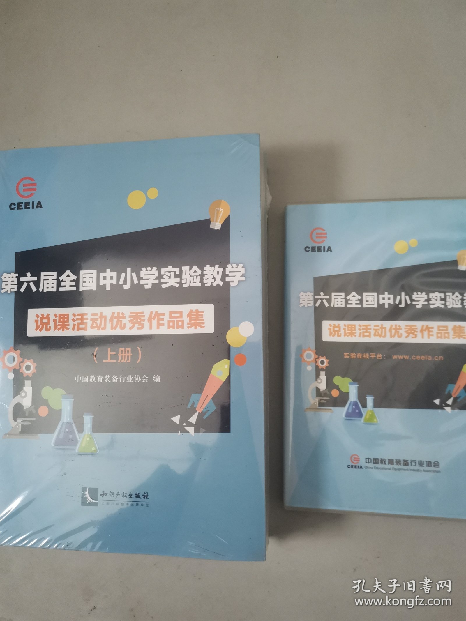 第六届全国中小学实验教学说课活动优秀作品集（带碟片）