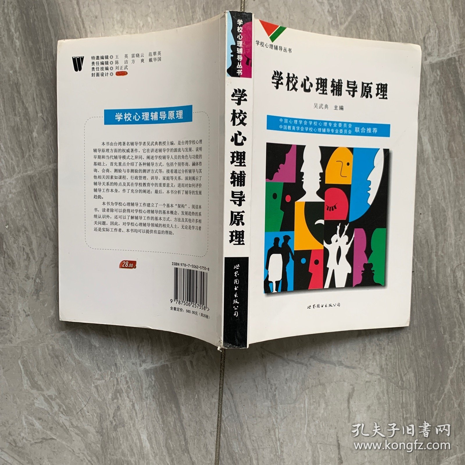 学校心理辅导丛书：心理咨询技术（下）