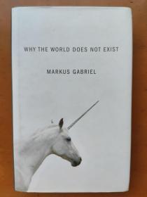 (精装版)  Why the World Does Not Exist Markus Gabriel Gregory Moss 