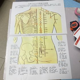 挂图5张一套