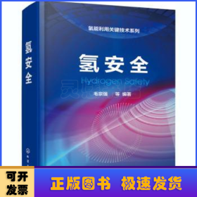 氢安全(精)/氢能利用关键技术系列