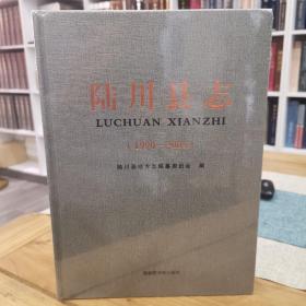 陆川县志1990—2005 全新未拆封