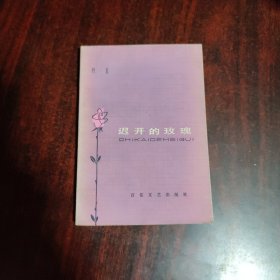 迟开的玫瑰