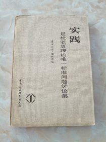 实践是检验真理的唯一标准,问题讨论集