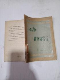 礦物和巖石