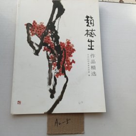 ［库存新书］赵梅生作品精选