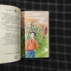 沉默的森林 小虎队儿童文学丛书
