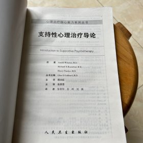 心理治疗核心能力系列丛书·支持性心理治疗导论（翻译版）