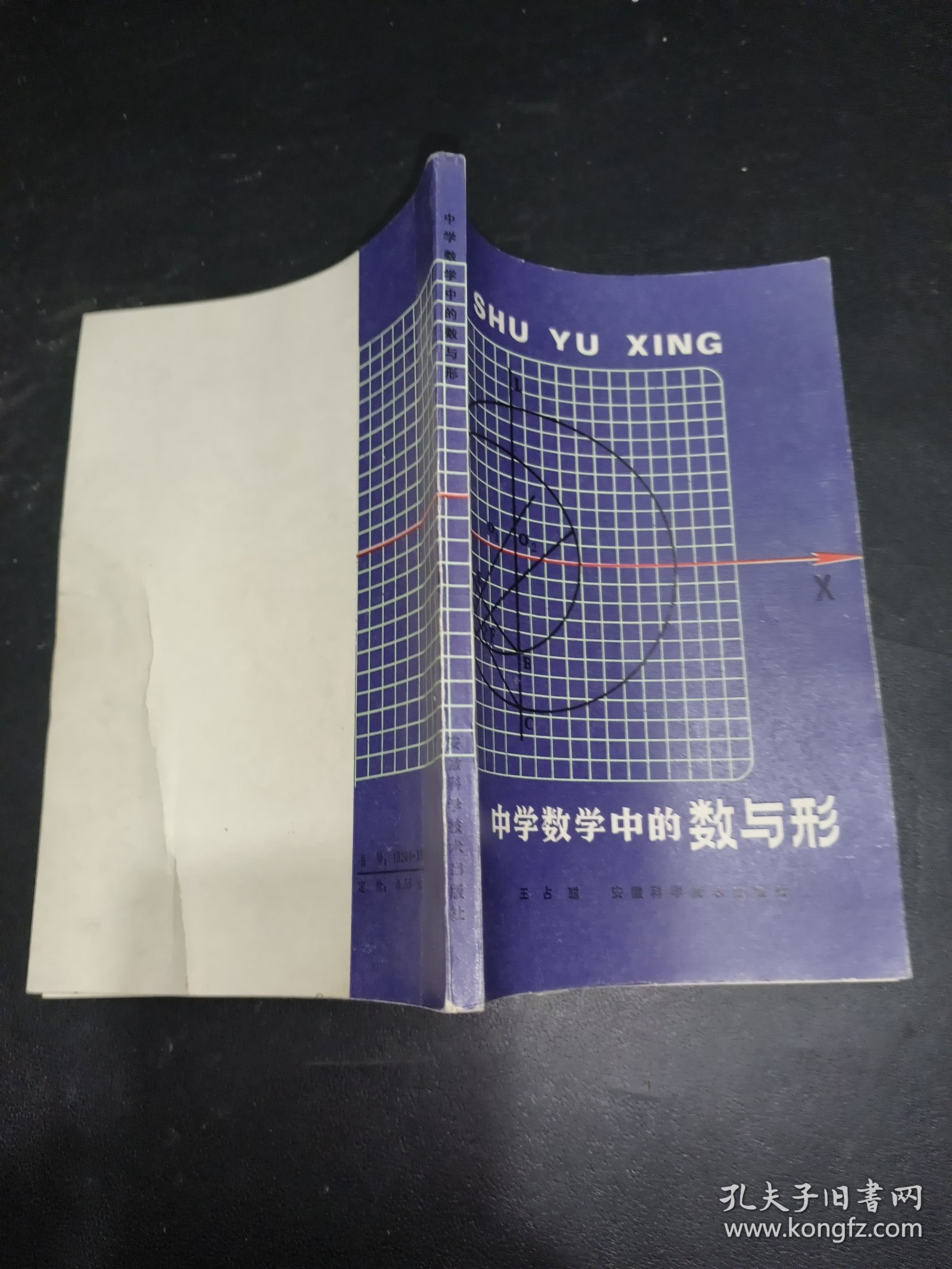 中学数学中的数与形