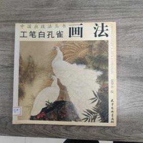 工笔白孔雀画法