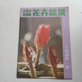 中国花卉盆景   1986   6