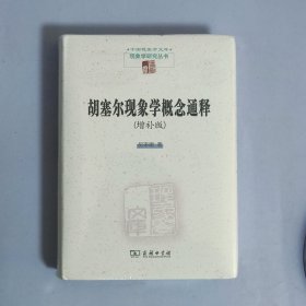 胡塞尔现象学概念通释：增补版