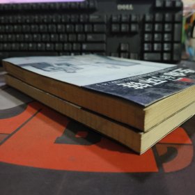 新视界文丛：梦幻之城 当代城市审美文化的批评性考察+永远的前卫 中国现代艺术的反思与批判（2册合售 一版一印）有瑕疵