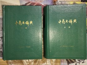 中药大辞典 上下册 上海科学技术出版社