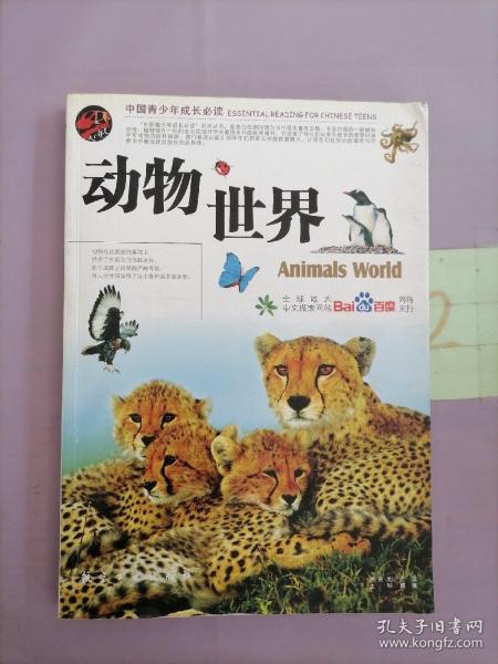 动物世界