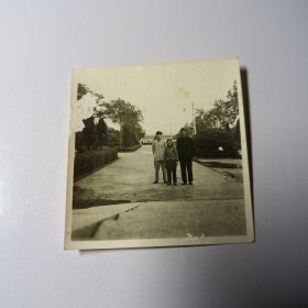 老照片–三名青年站在长沙烈士公园路中间留影（两男一女，中间女孩留两条长辫）