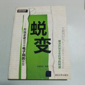 蜕变：传统企业如何向电子商务转型