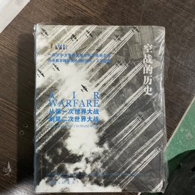 空战的历史-从第一次世界大战到第二次世界大战 看图