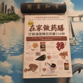 图解在家做药膳：疗病调理精品药膳234种