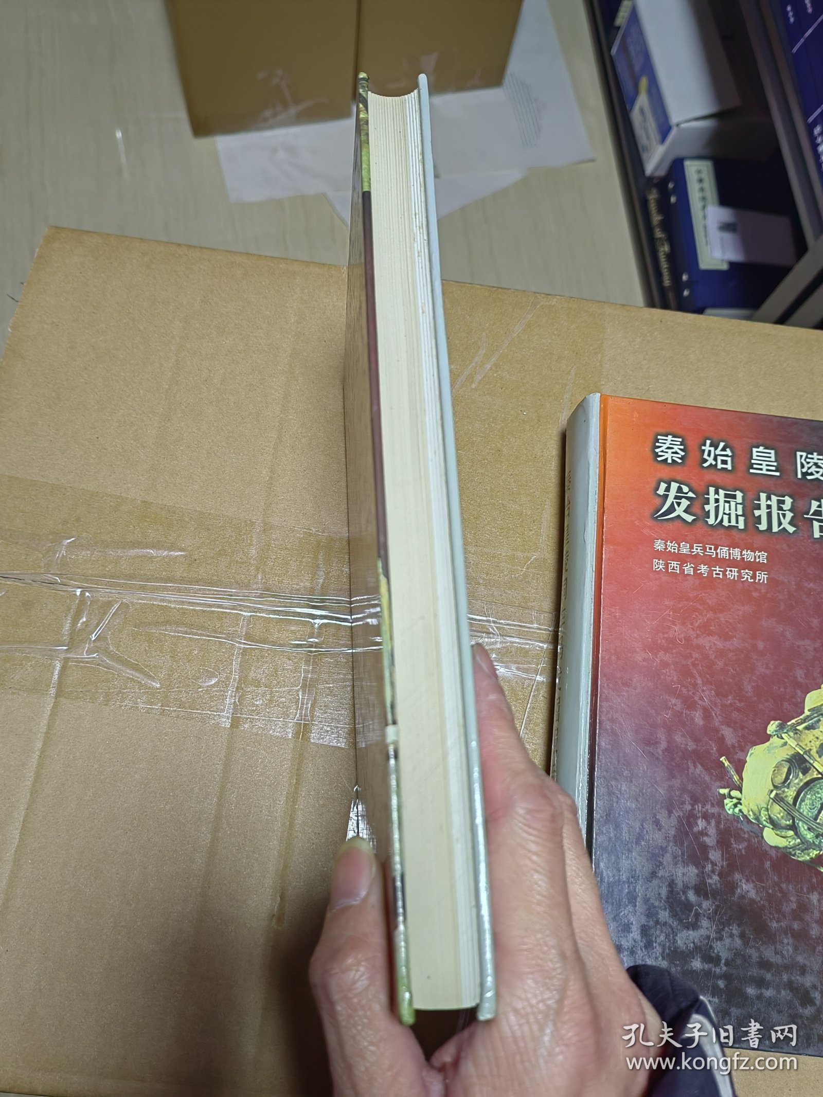 秦始皇陵铜车马修复报告