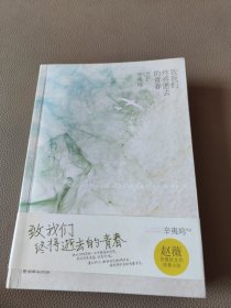 致我们终将逝去的青春