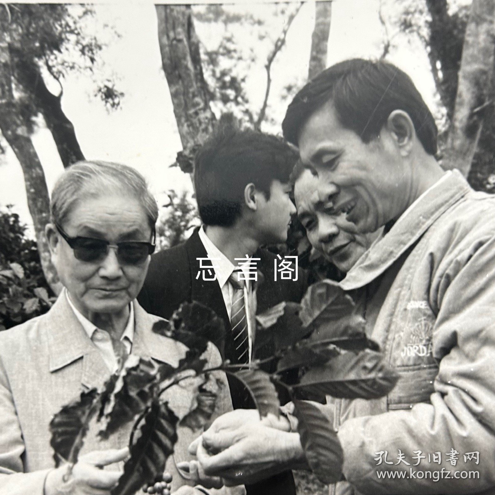 【老照片】新华社《瞭望周刊》旧藏照片底稿：宋平在海南省了解咖啡的生产情况 黑白照片1枚（大尺寸，清晰原照，姜恩宇摄影）