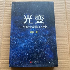 光变：一个企业及其工业史