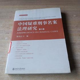 中国疑难刑事名案法理研究（第6卷）