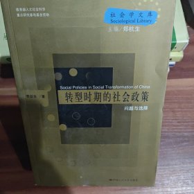 转型时期的社会政策问题与选择