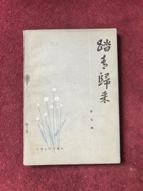 踏青归来 读现代文学创作笔记