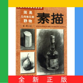 简易几何体石膏静物素描(基础美术阶梯训练教材)