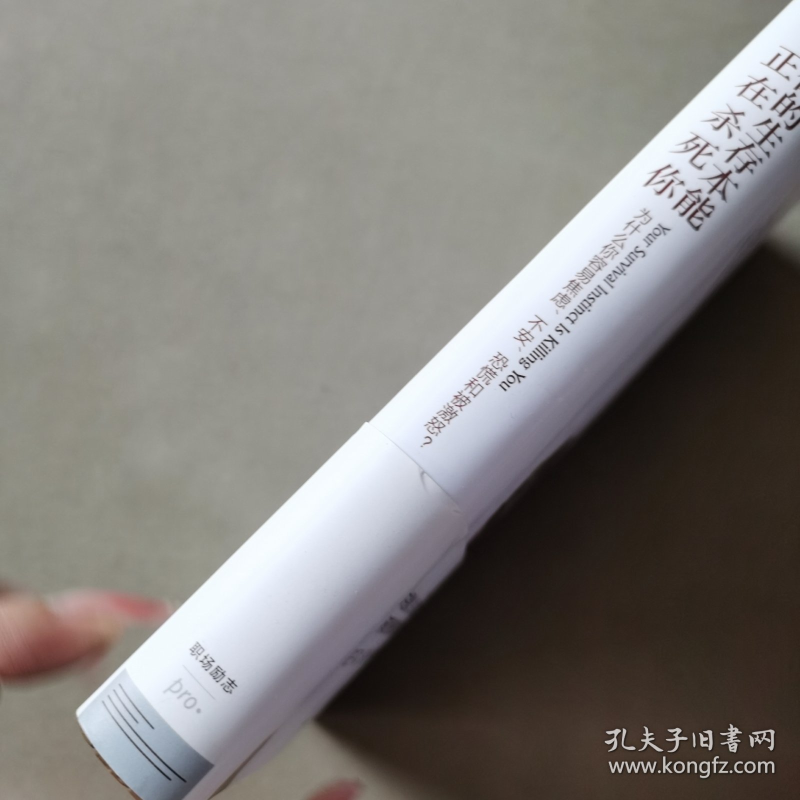 你的生存本能正在杀死你：为什么你容易焦虑、不安、恐慌和被激怒？