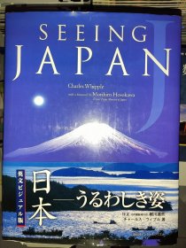 SEEING JAPAN