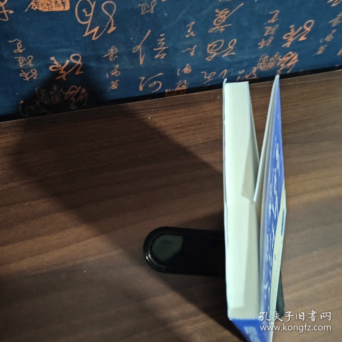 我想把这个世界读给你听