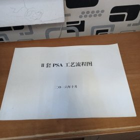 PSA工艺流程图