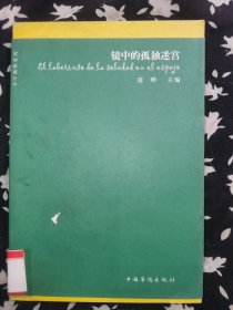 镜中的孤独迷宫：文学偏锋系列 一版一印