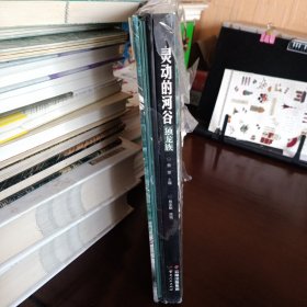《灵动的河谷 独龙族》+DVD【未拆封但封膜已破。品如图，所有图片都是实物拍摄】