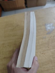 汉语语法修辞/文言虚字/语法修辞易混问题区分 三册汉语知识合售